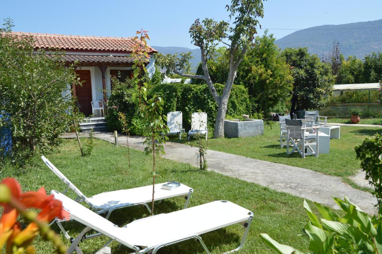 Mr. Greek Villa Petra  Exteriör bild