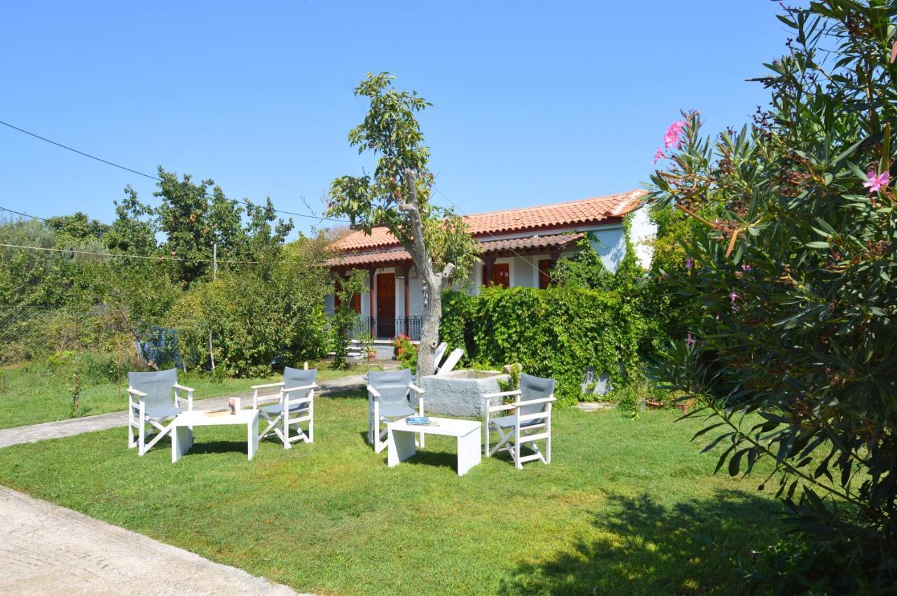 Mr. Greek Villa Petra  Exteriör bild